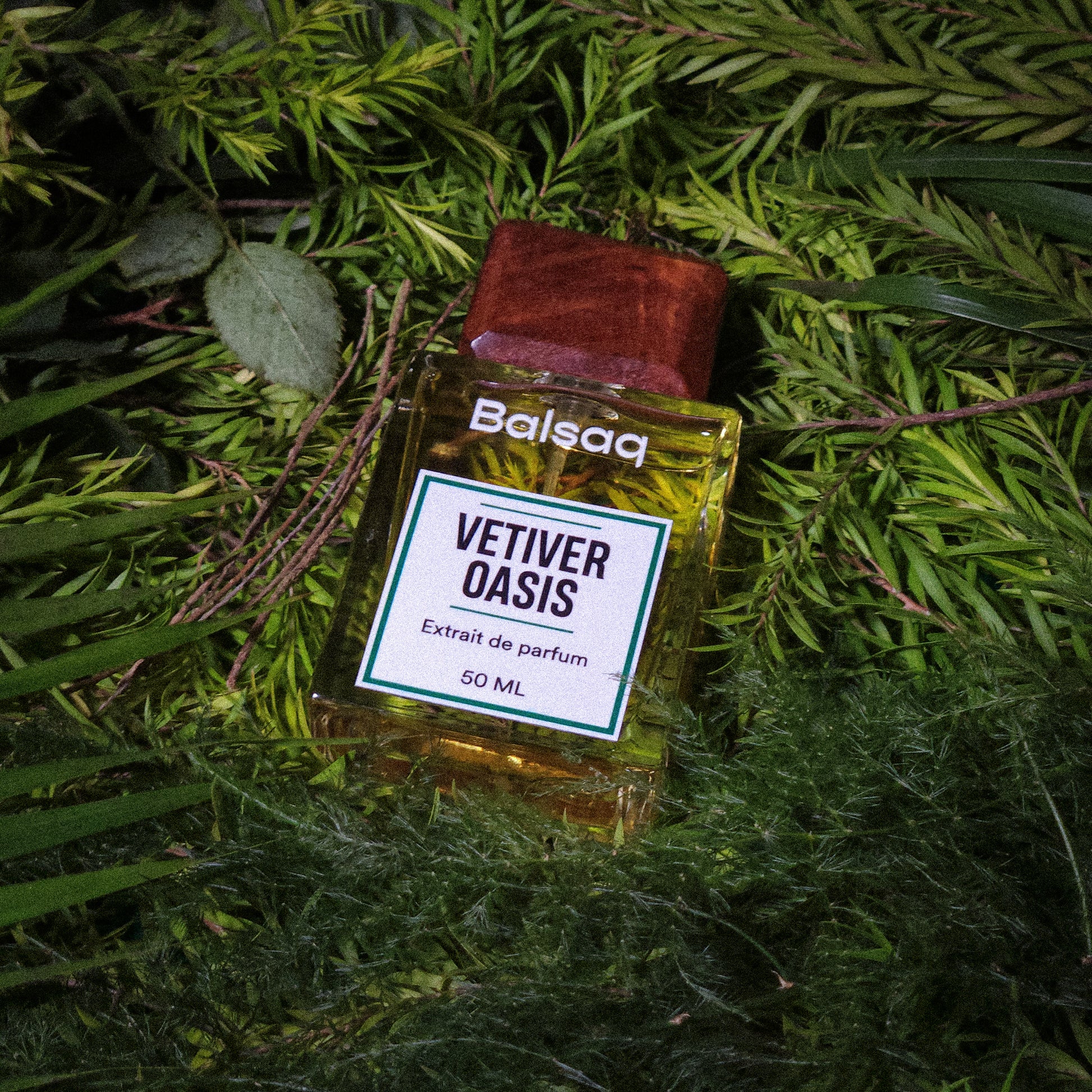 Vetiver Oasis Perfume - 50ml Extrait De Parfum - Balsaq