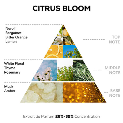 Citrus Bloom Perfume - 50ml Extrait De Parfum