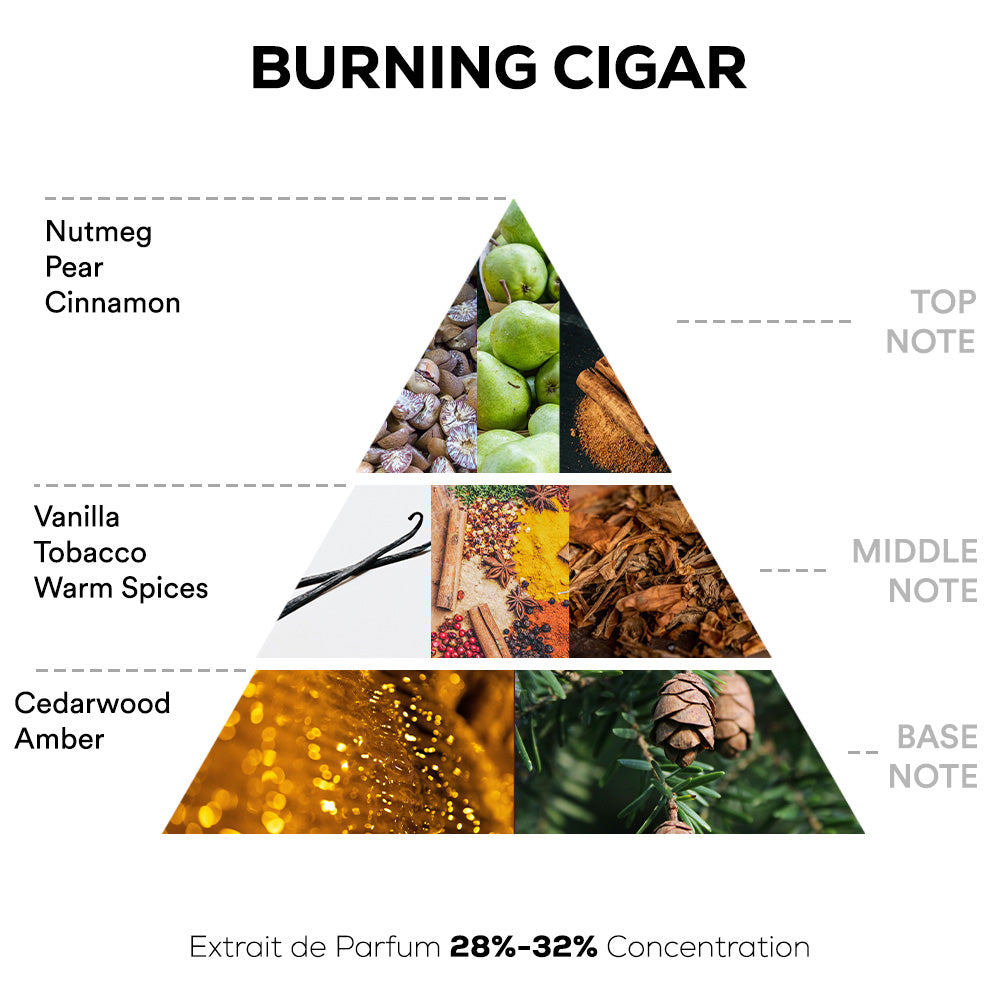 Burning Cigar Perfume - 50ml Extrait De Parfum