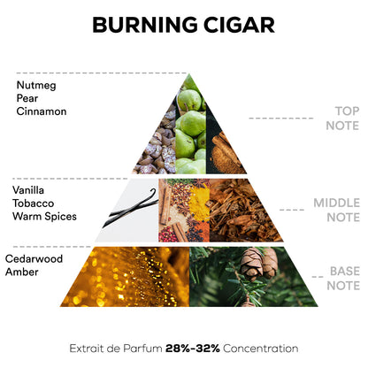 Burning Cigar Perfume - 50ml Extrait De Parfum